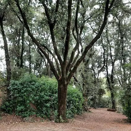 La Romanella Vakantieboerderij Viterbo