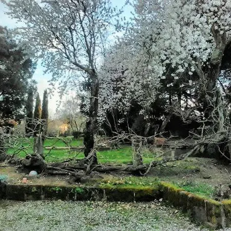 Vakantieboerderij La Romanella *