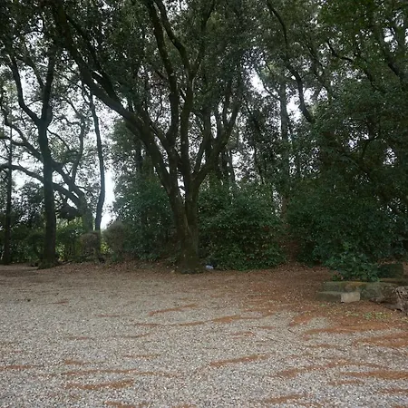Vakantieboerderij La Romanella Viterbo