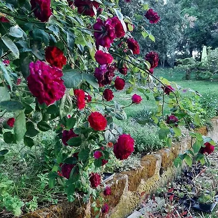 La Romanella Alloggio per agriturismo
