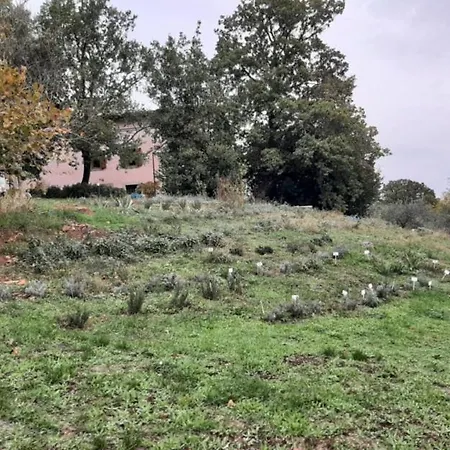 La Romanella * Viterbo