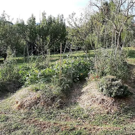 La Romanella Vakantieboerderij *